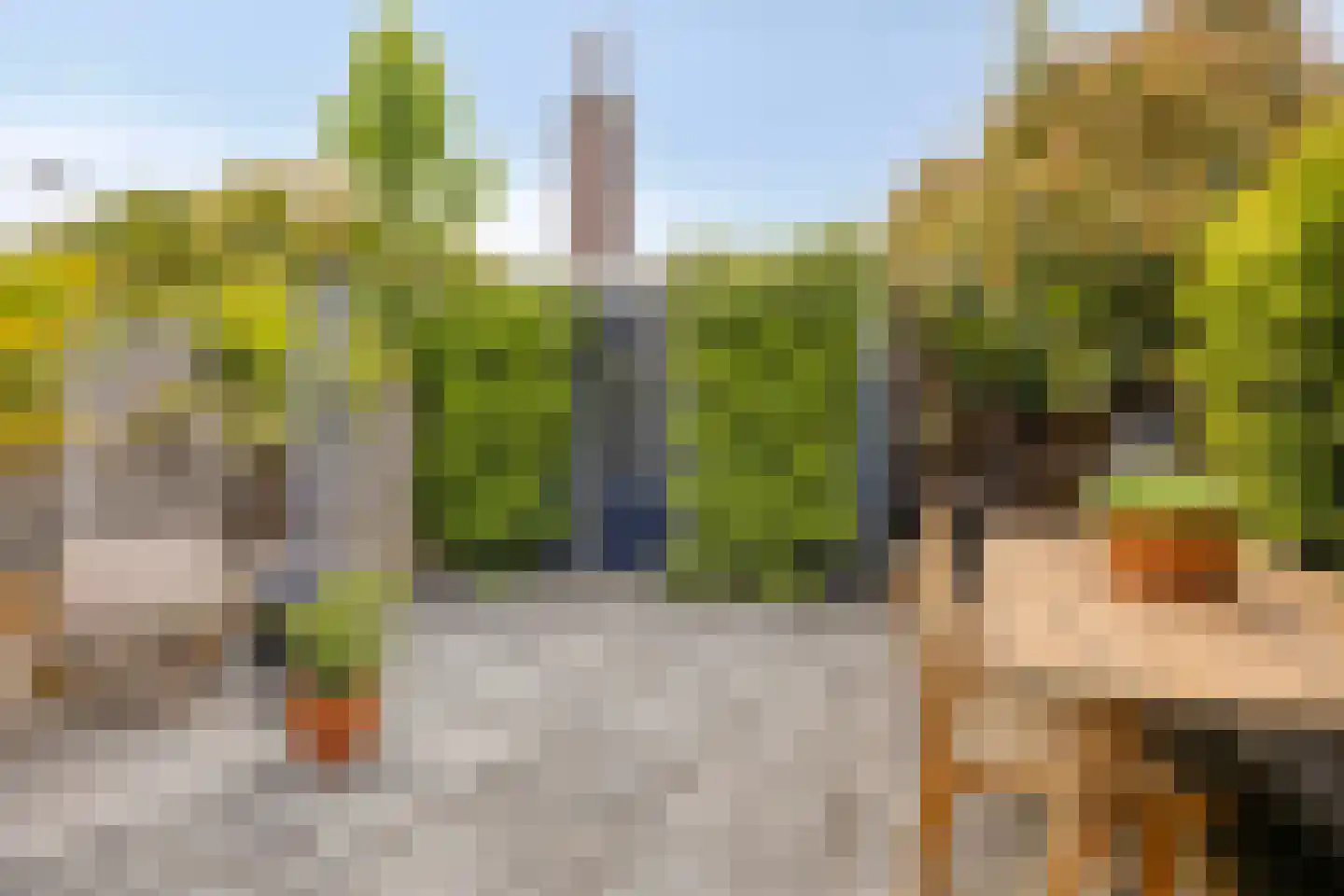 Zeelsterstraat 101 Eindhoven thumbnail 28