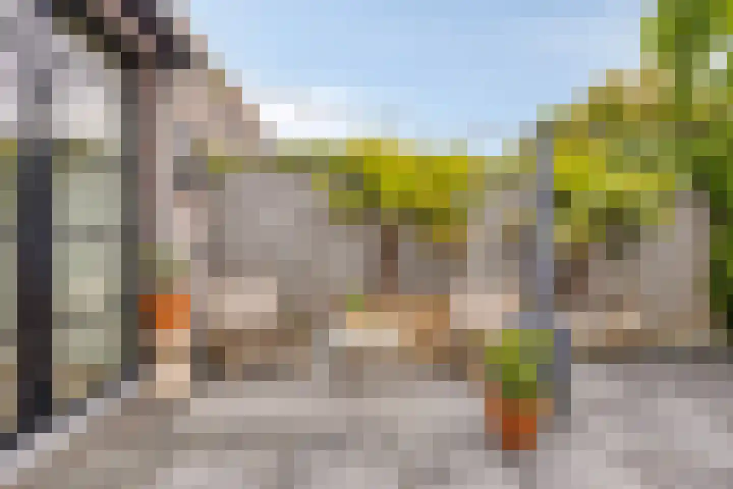 Zeelsterstraat 101 Eindhoven thumbnail 29