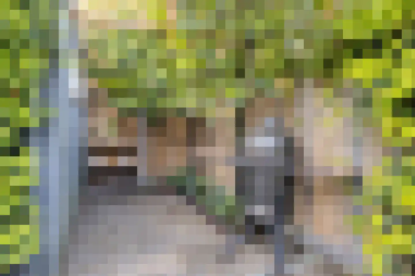 Zeelsterstraat 101 Eindhoven thumbnail 30