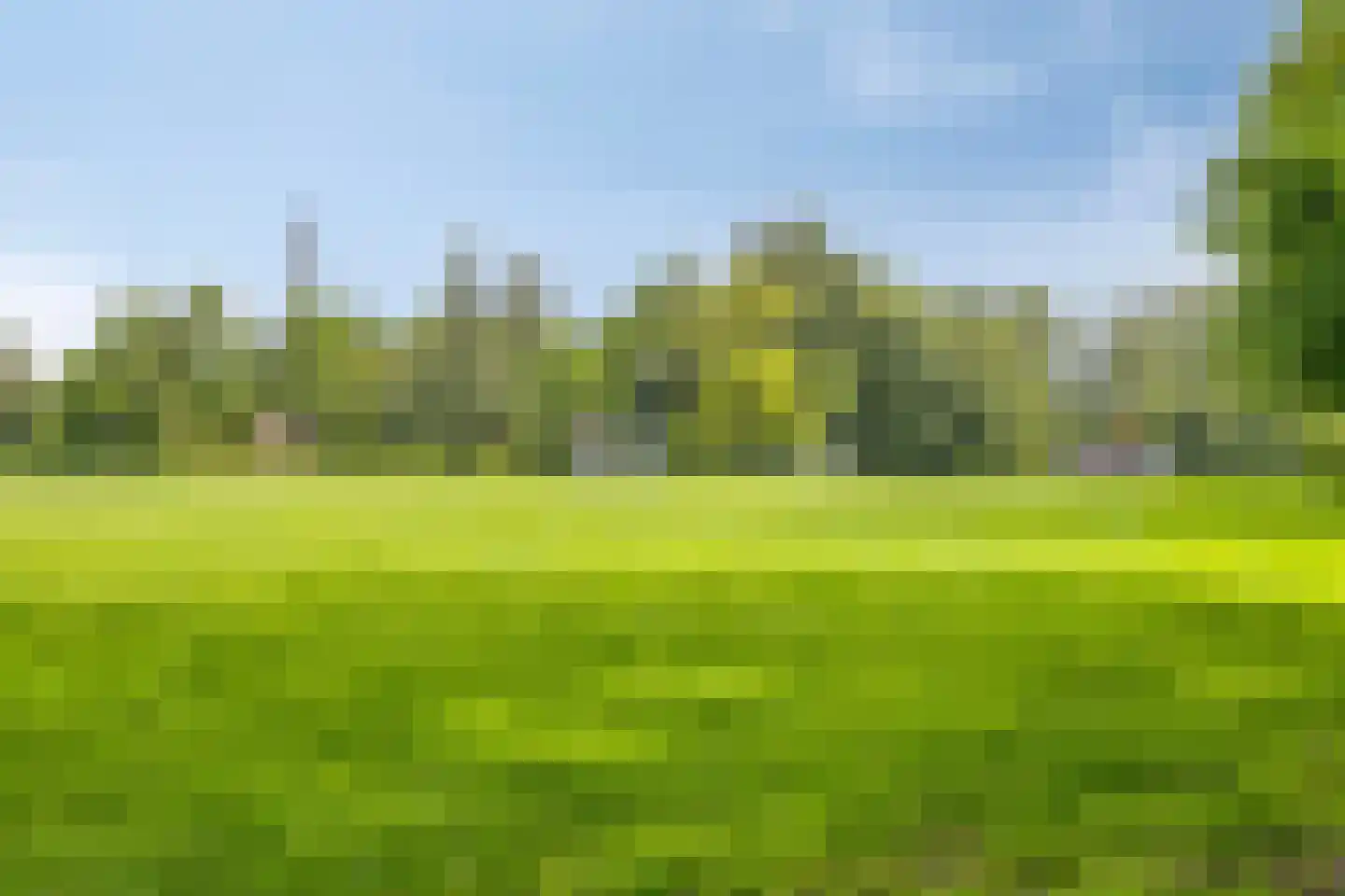 Zeelsterstraat 101 Eindhoven thumbnail 36