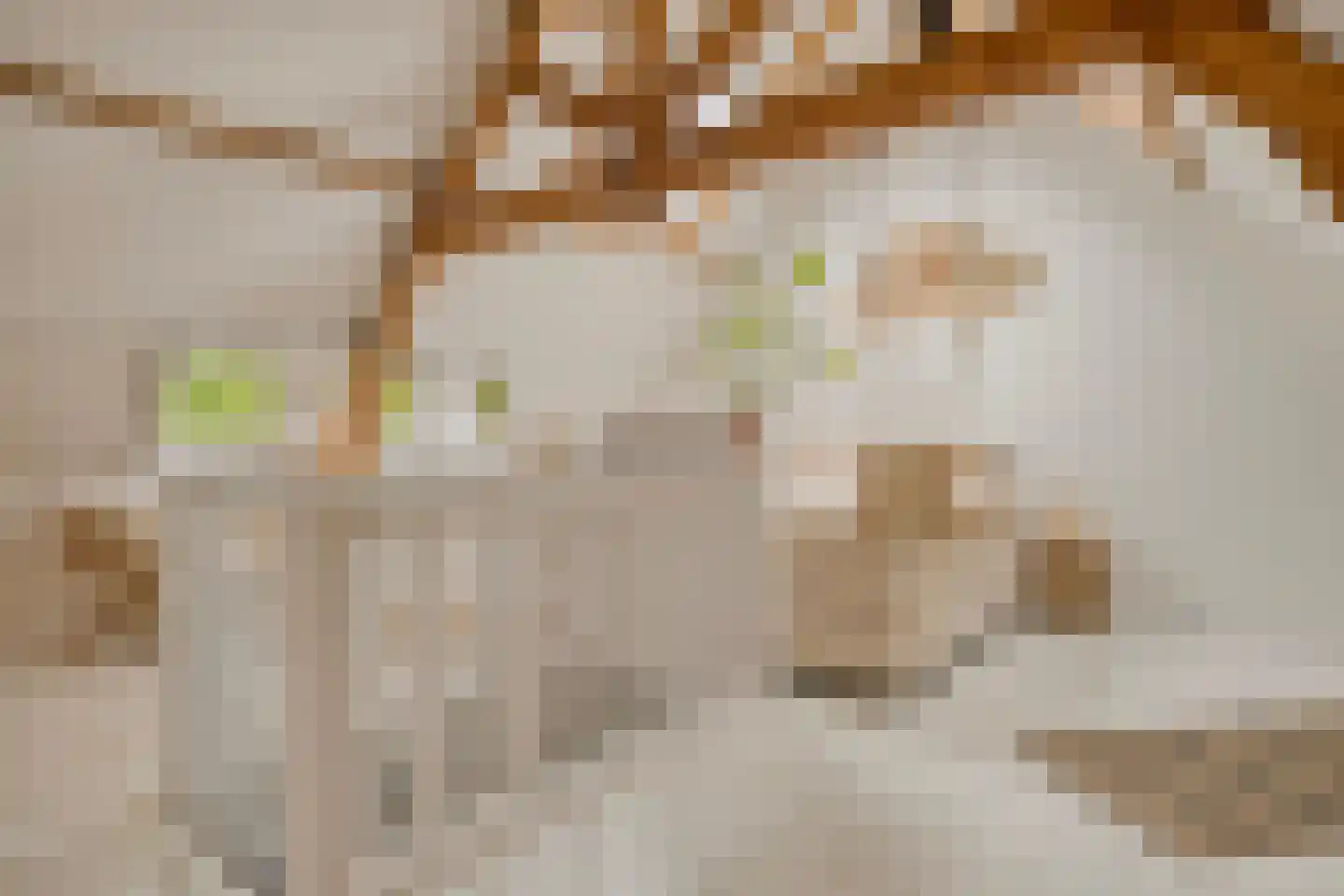 Zeelsterstraat 101 Eindhoven thumbnail 4