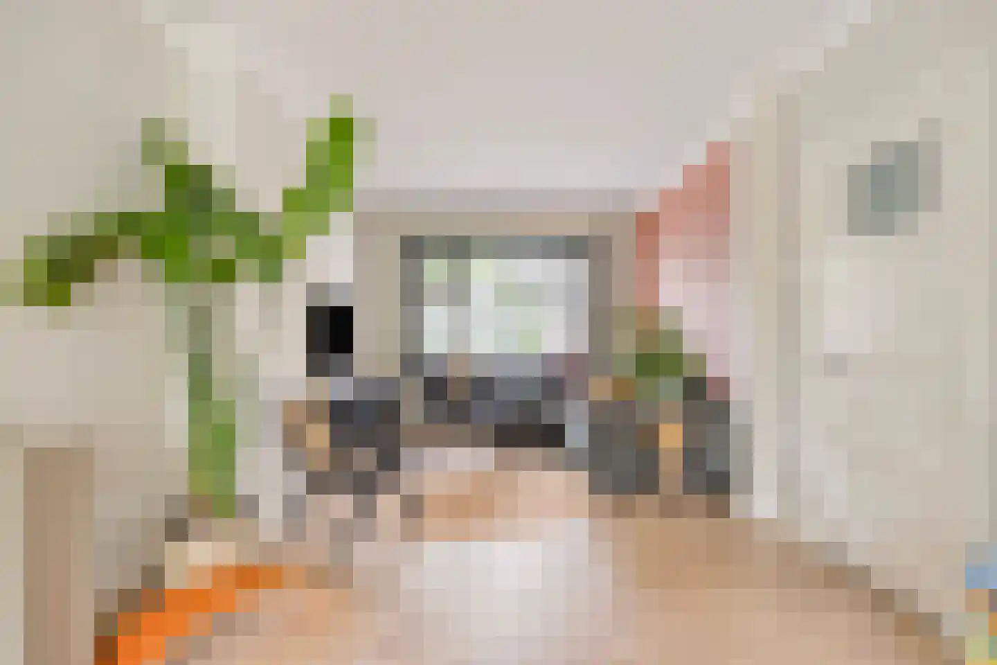 Zeelsterstraat 101 Eindhoven thumbnail 8