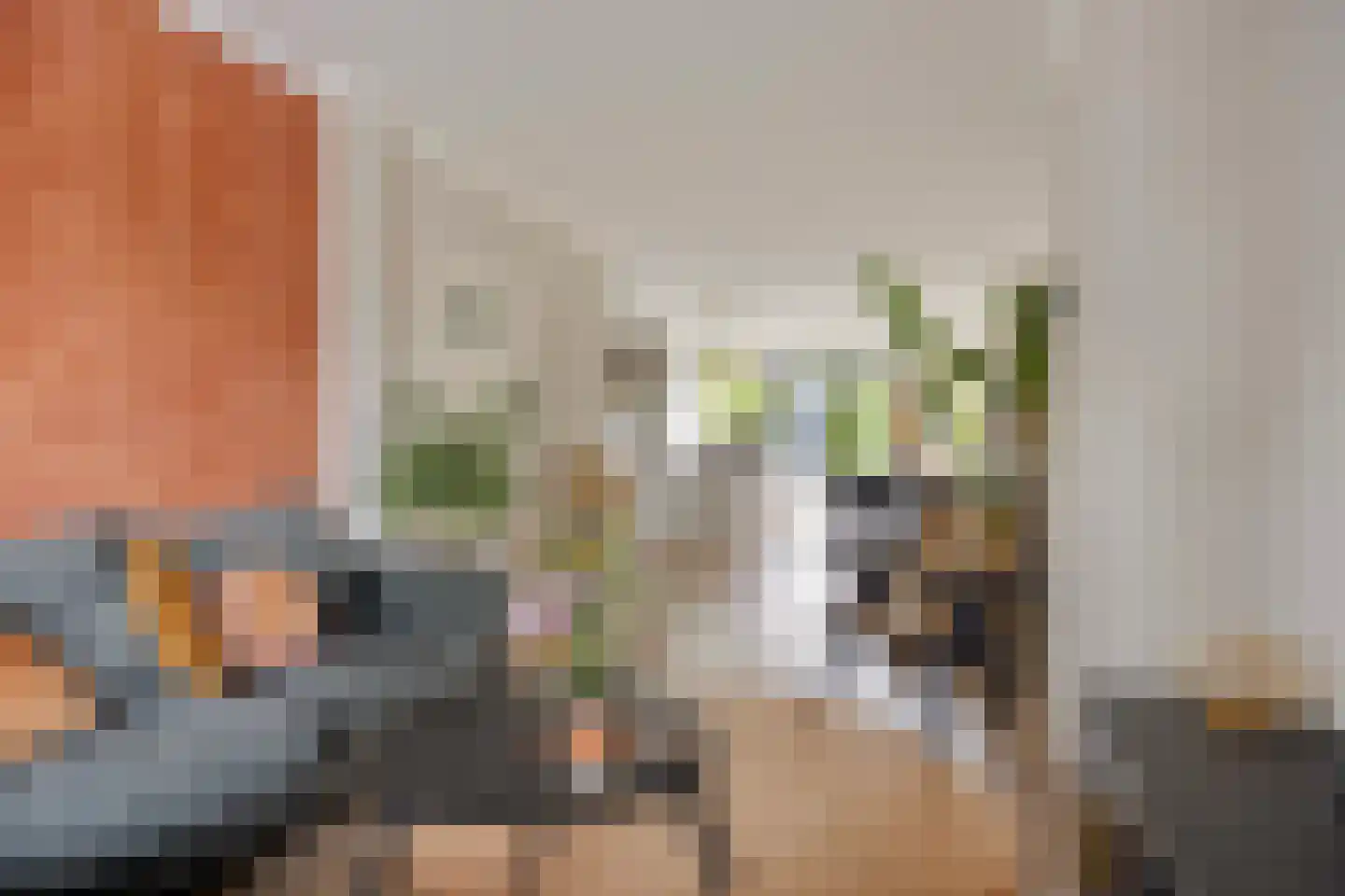 Zeelsterstraat 101 Eindhoven thumbnail 9