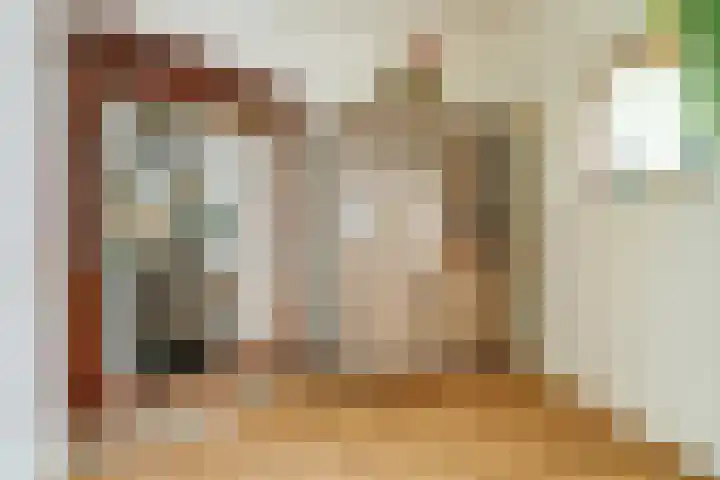 Zeelsterstraat 106 Eindhoven thumbnail 11
