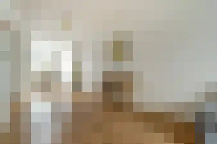 Zeelsterstraat 106 Eindhoven thumbnail 12