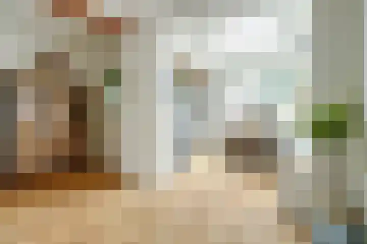 Zeelsterstraat 106 Eindhoven thumbnail 13