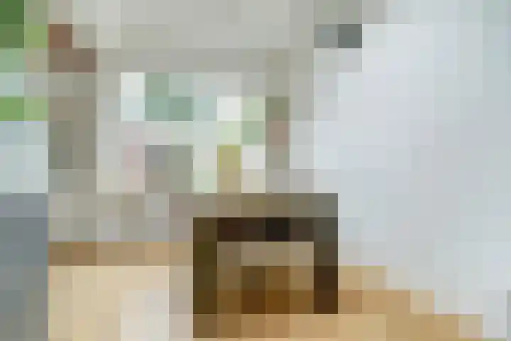 Zeelsterstraat 106 Eindhoven thumbnail 14