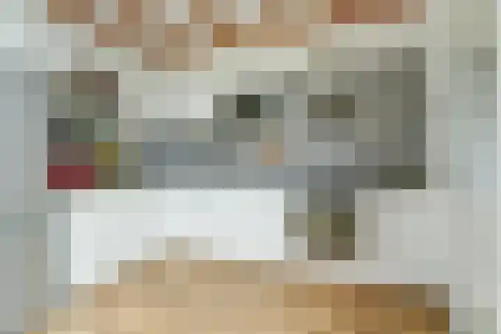 Zeelsterstraat 106 Eindhoven thumbnail 16