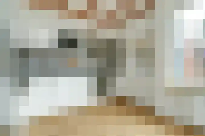 Zeelsterstraat 106 Eindhoven thumbnail 17