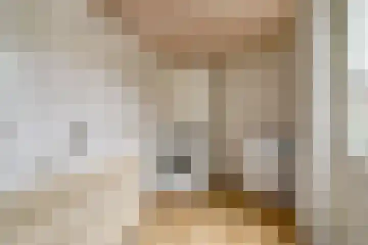 Zeelsterstraat 106 Eindhoven thumbnail 20