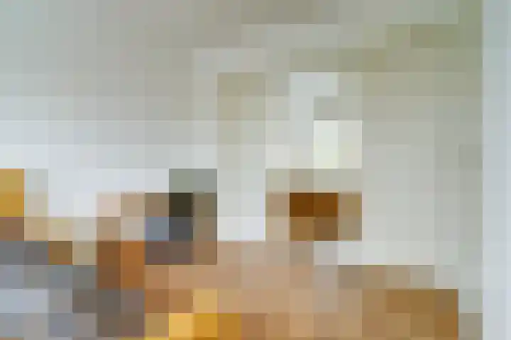 Zeelsterstraat 106 Eindhoven thumbnail 23