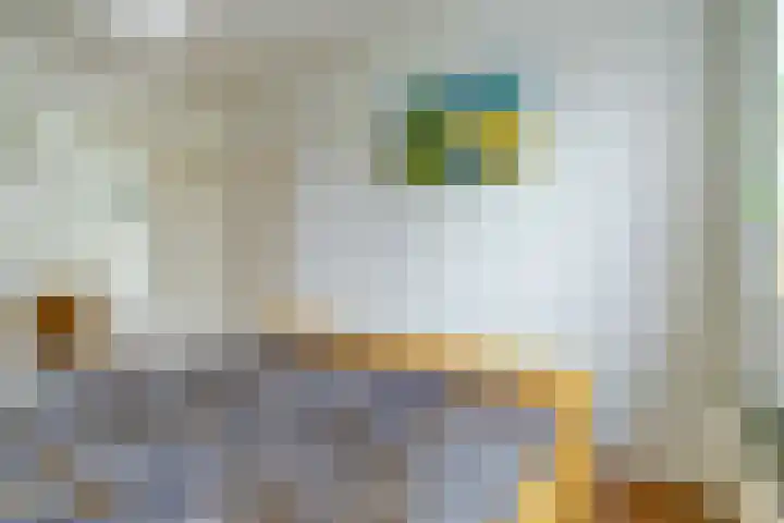 Zeelsterstraat 106 Eindhoven thumbnail 24
