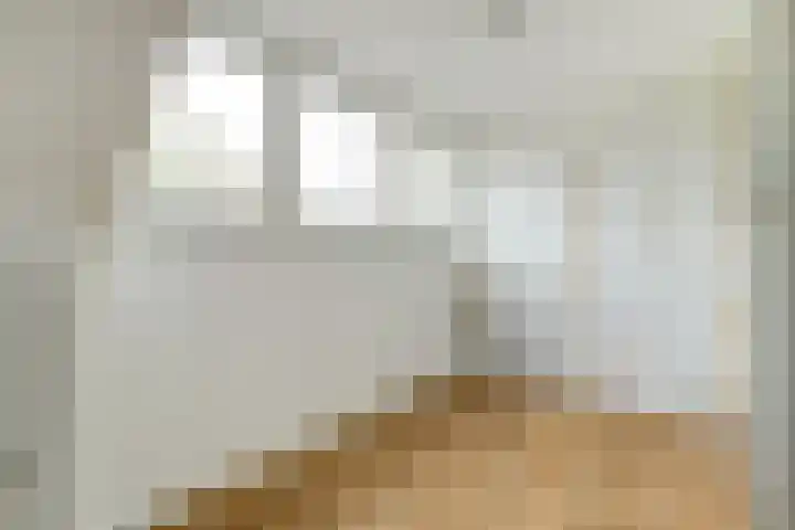 Zeelsterstraat 106 Eindhoven thumbnail 32