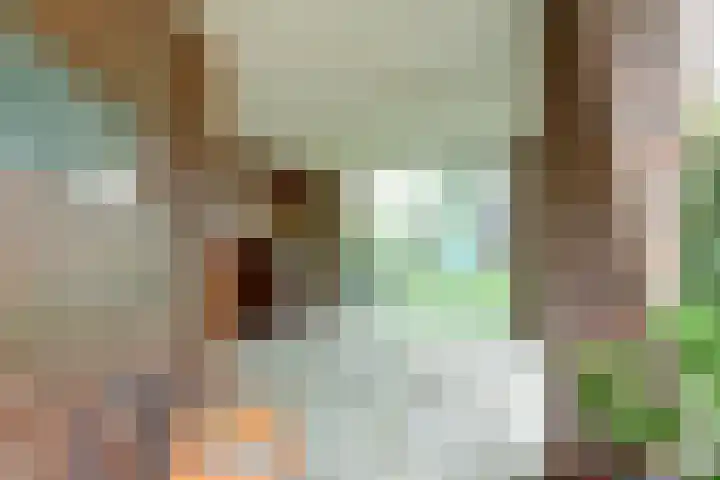 Zeelsterstraat 106 Eindhoven thumbnail 39