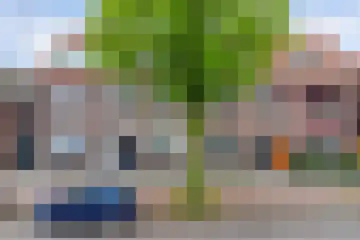 Zeelsterstraat 106 Eindhoven thumbnail 4
