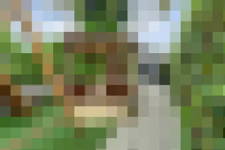 Zeelsterstraat 106 Eindhoven thumbnail 42