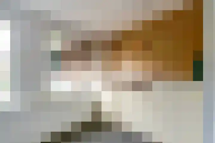 Zeelsterstraat 106 Eindhoven thumbnail 46