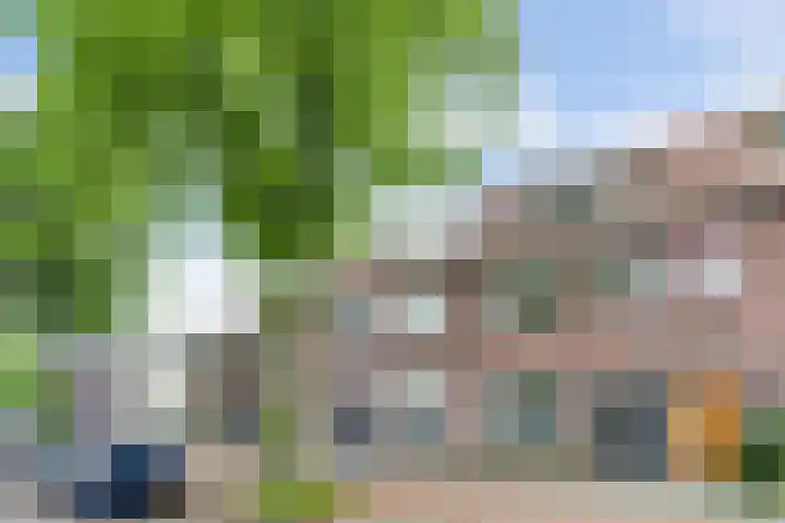 Zeelsterstraat 106 Eindhoven thumbnail 47