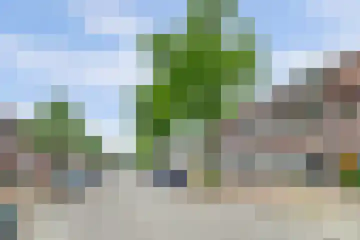 Zeelsterstraat 106 Eindhoven thumbnail 50