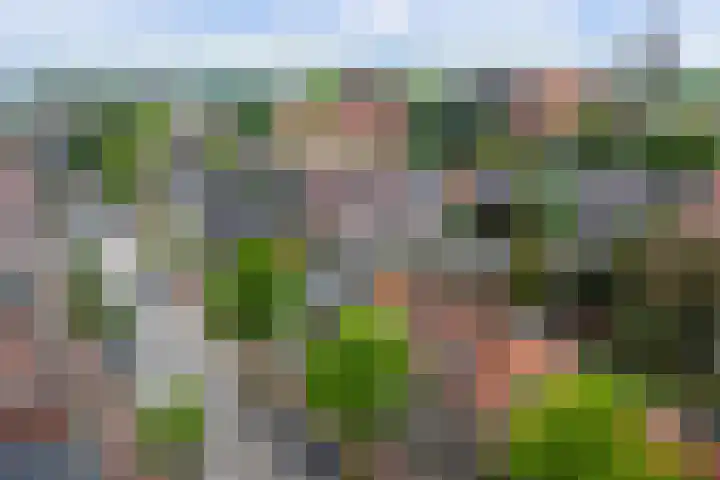 Zeelsterstraat 106 Eindhoven thumbnail 6