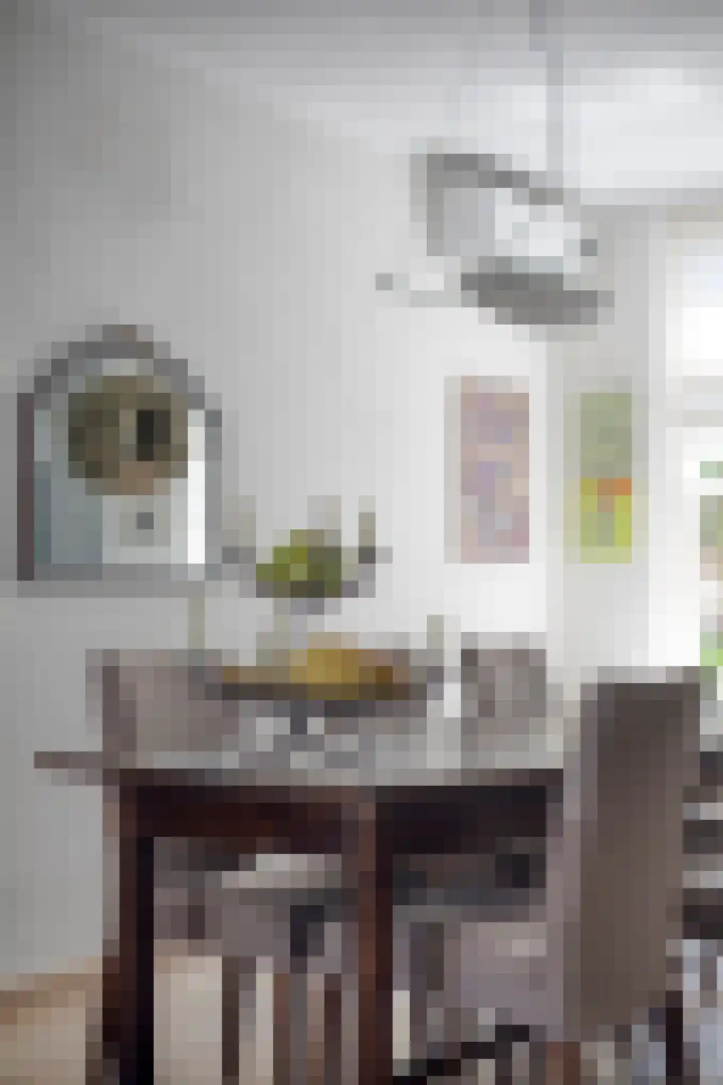 Zeelsterstraat 107 Eindhoven thumbnail 12