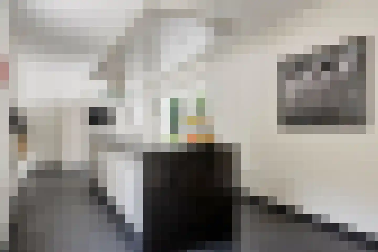 Zeelsterstraat 107 Eindhoven thumbnail 15