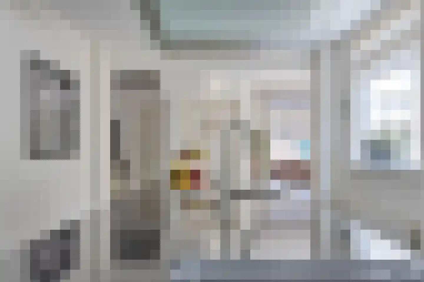 Zeelsterstraat 107 Eindhoven thumbnail 17