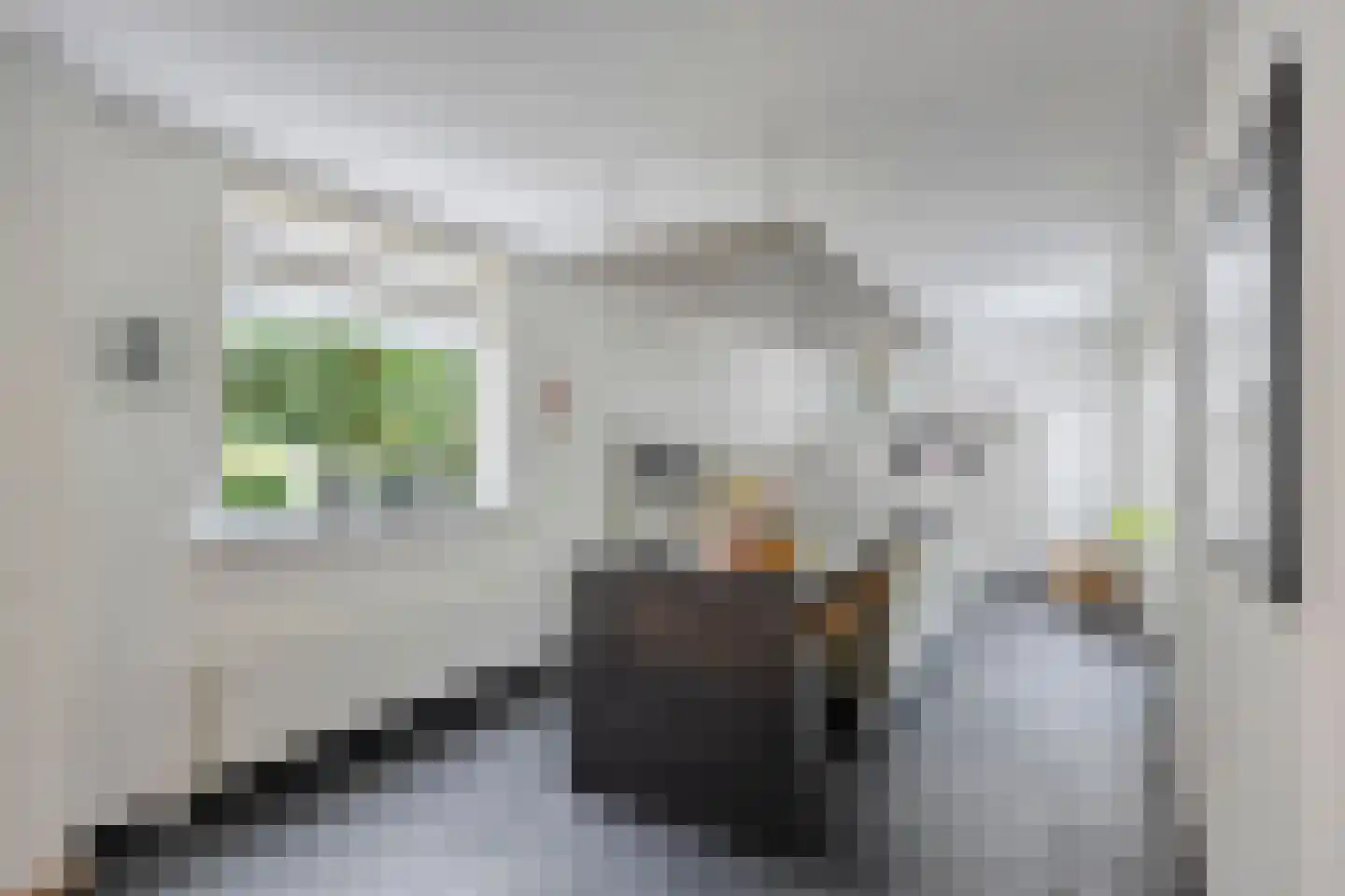 Zeelsterstraat 107 Eindhoven thumbnail 18