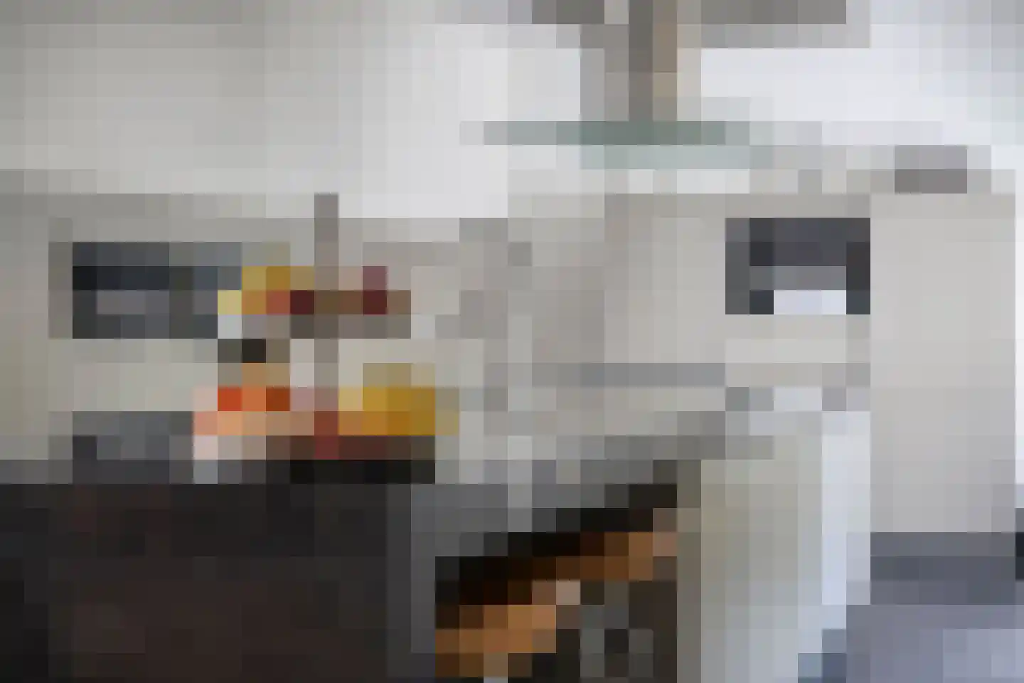 Zeelsterstraat 107 Eindhoven thumbnail 21
