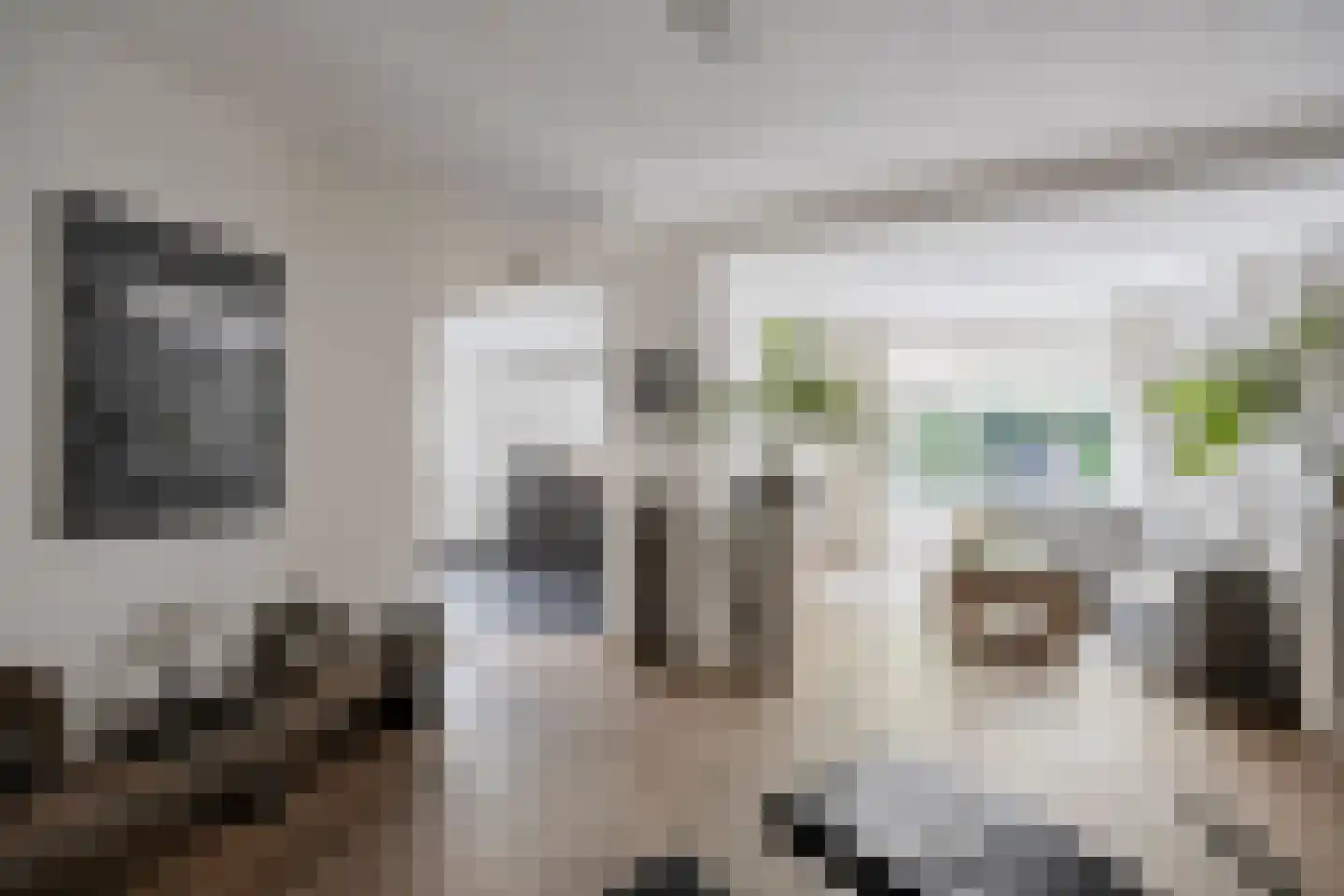 Zeelsterstraat 107 Eindhoven thumbnail 23