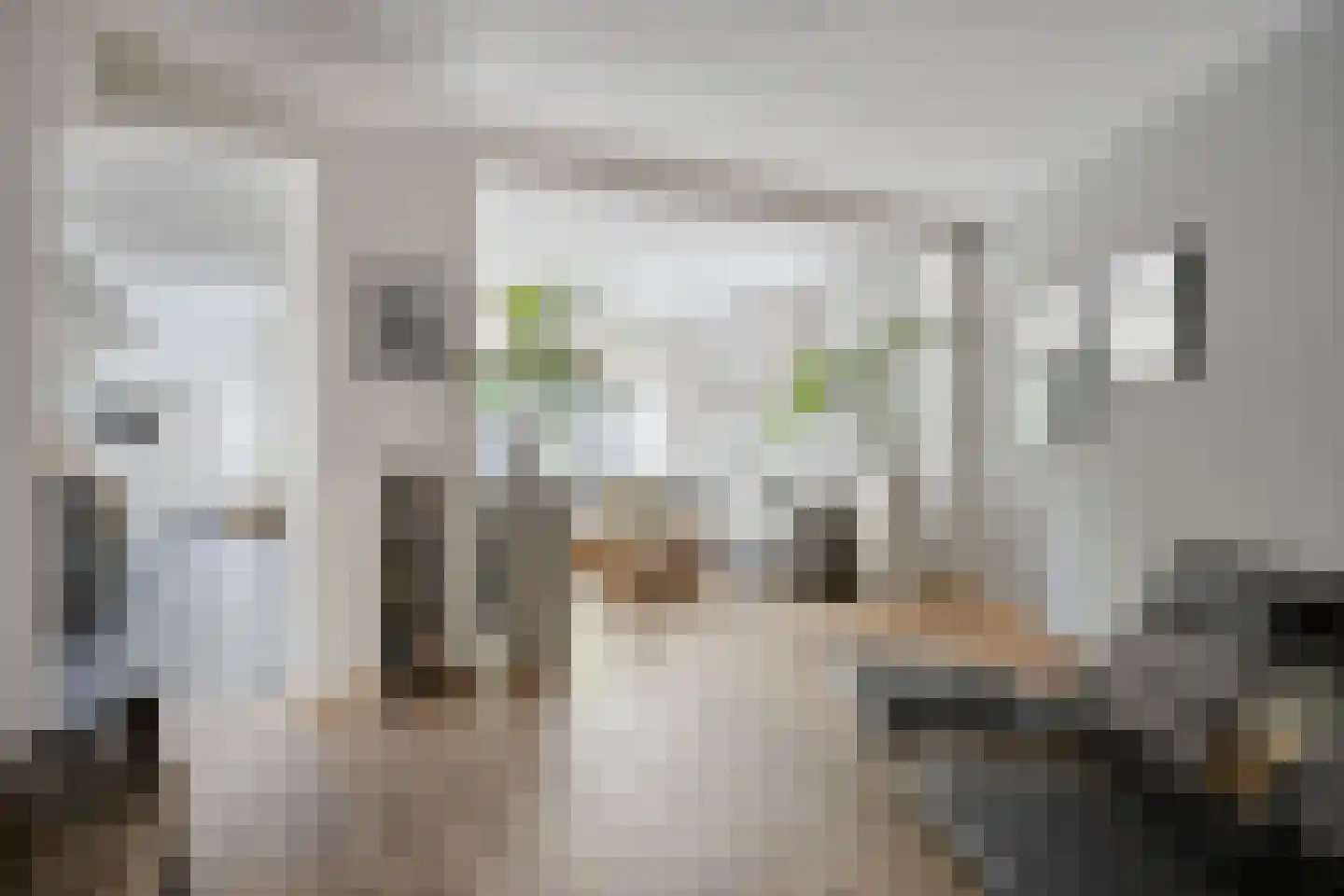 Zeelsterstraat 107 Eindhoven thumbnail 24