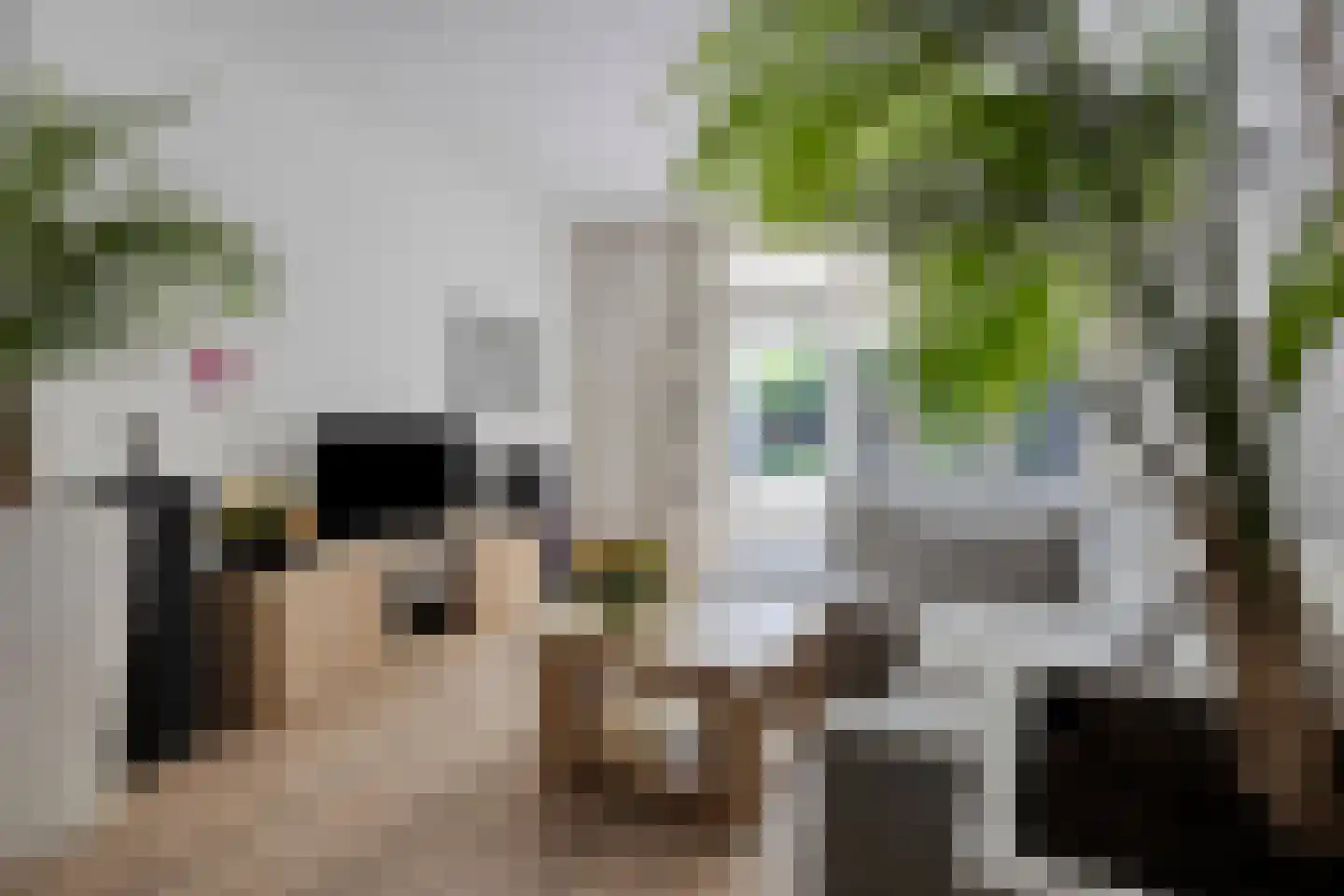 Zeelsterstraat 107 Eindhoven thumbnail 25