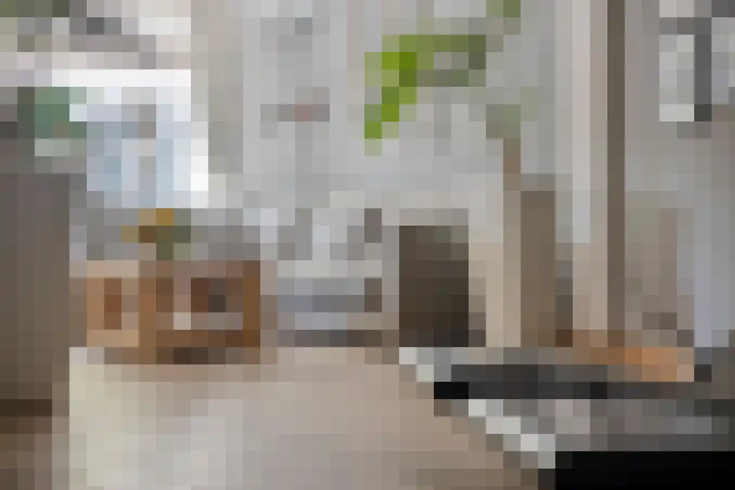Zeelsterstraat 107 Eindhoven thumbnail 26