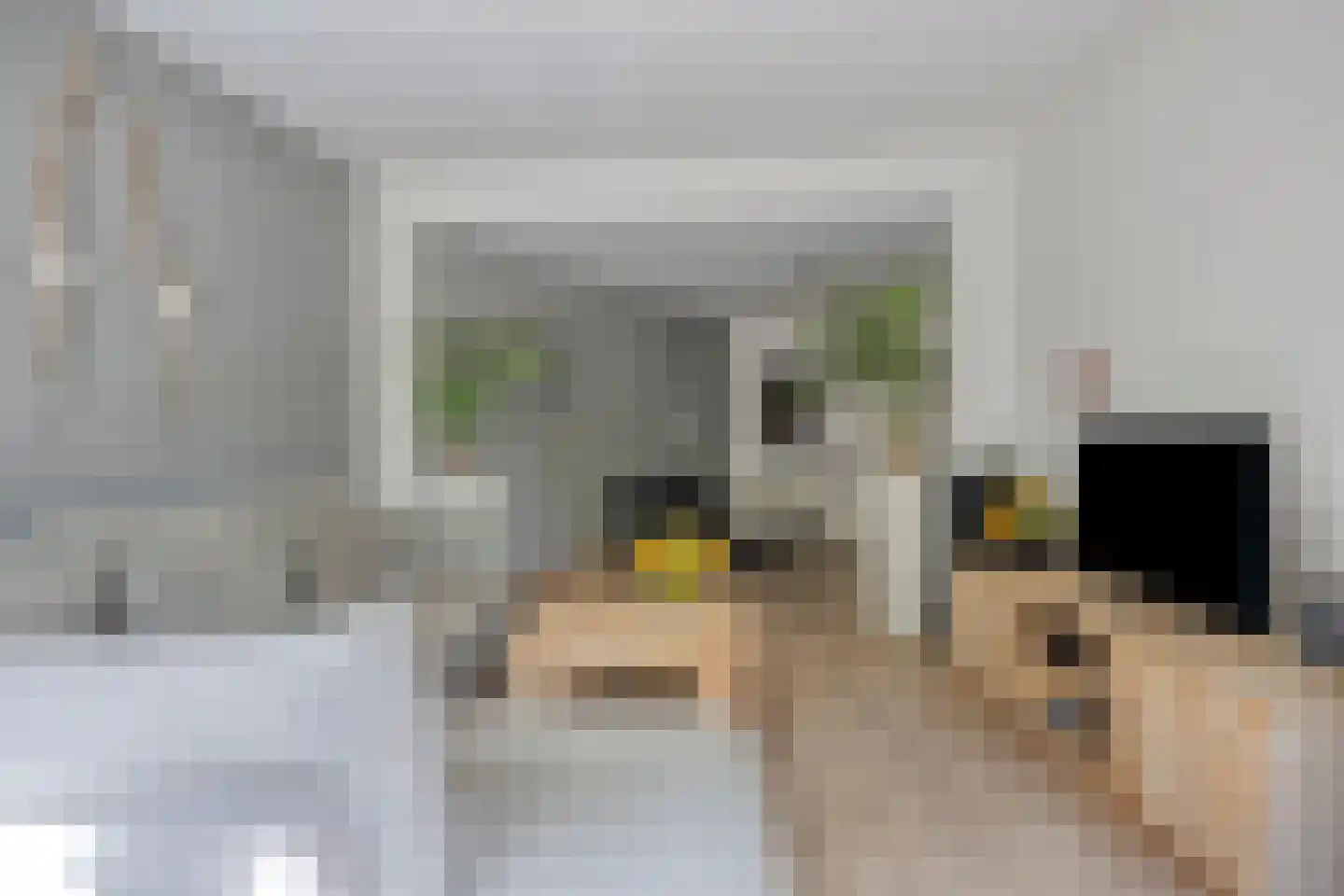 Zeelsterstraat 107 Eindhoven thumbnail 27