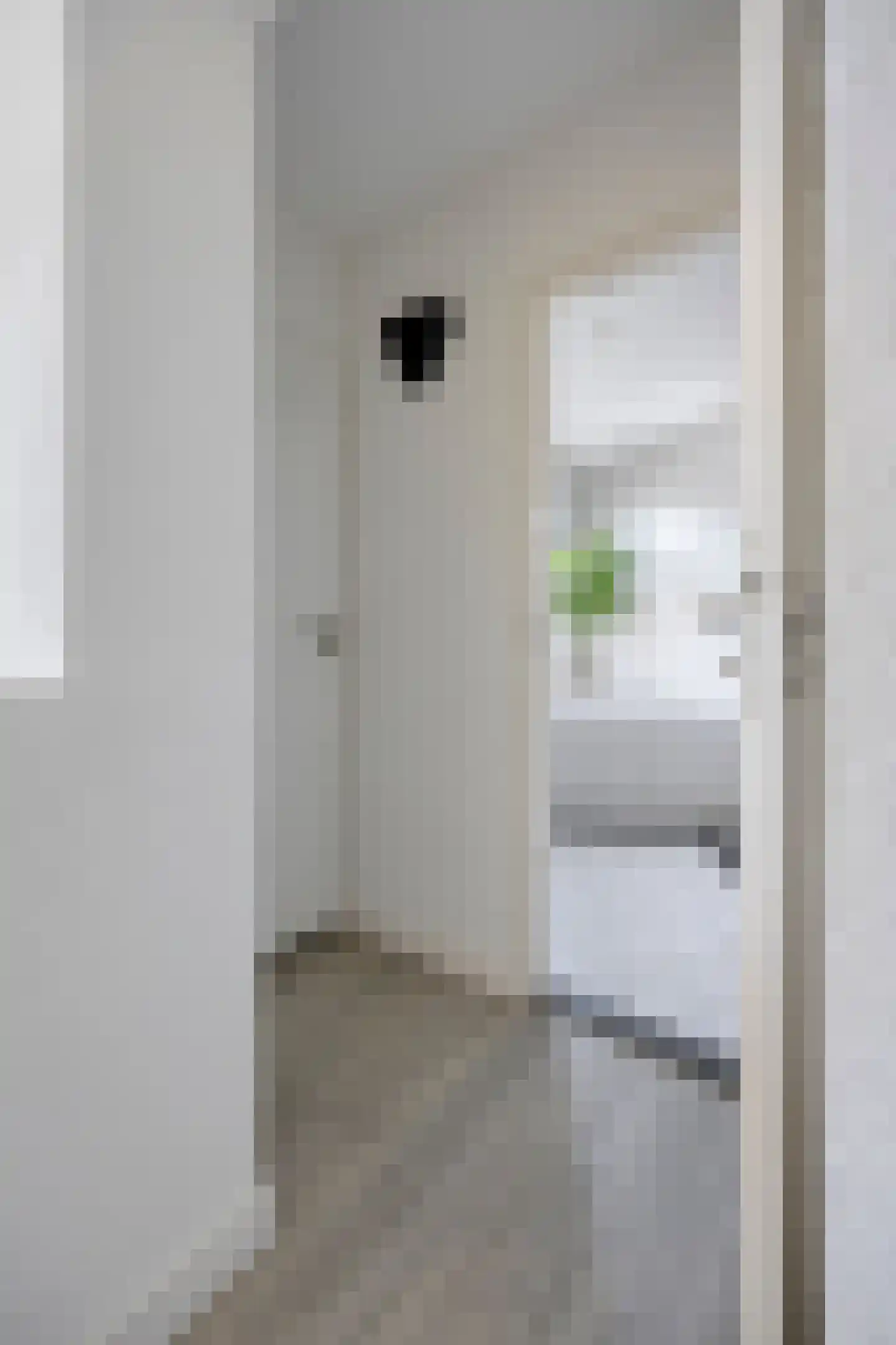 Zeelsterstraat 107 Eindhoven thumbnail 29