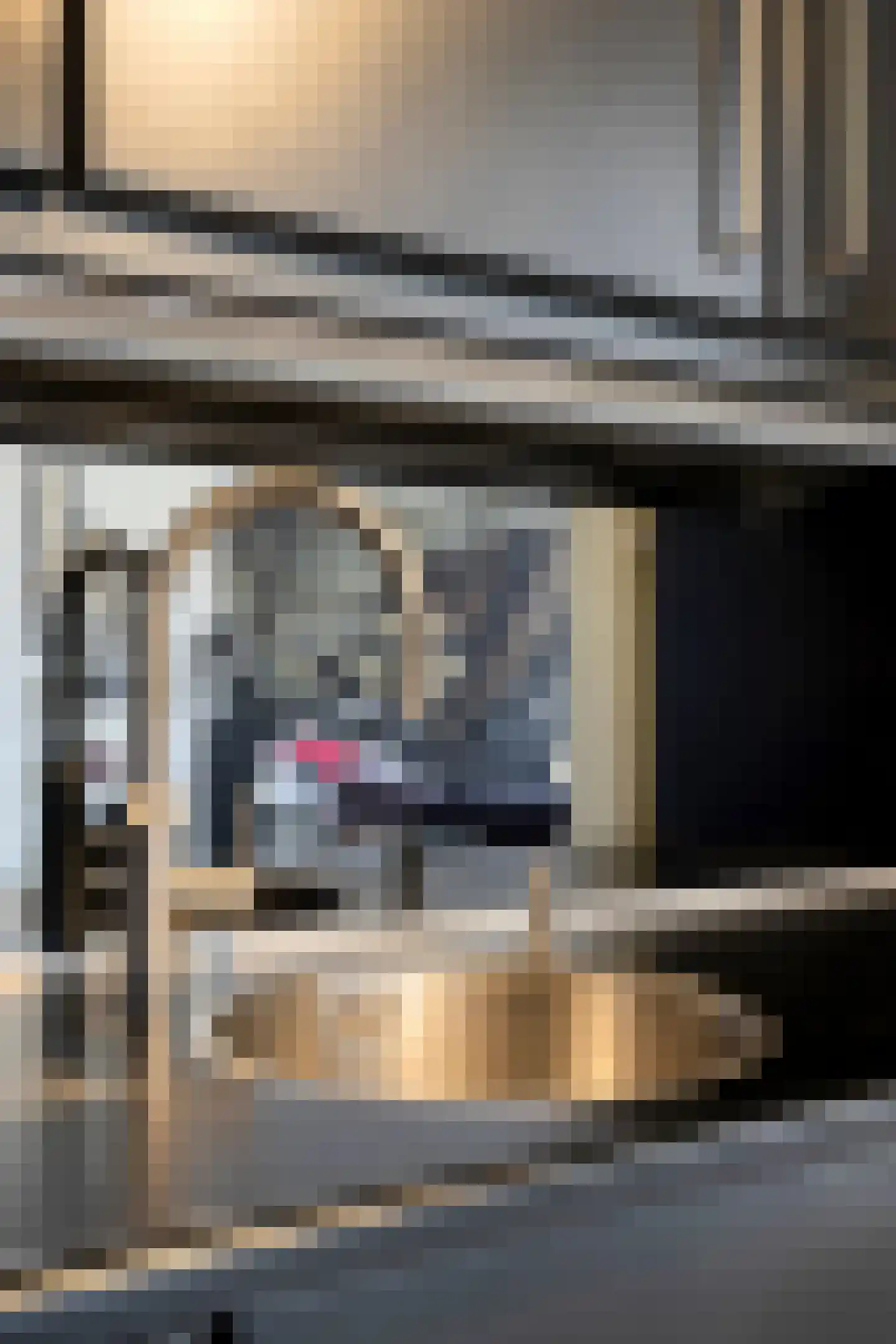 Zeelsterstraat 107 Eindhoven thumbnail 33