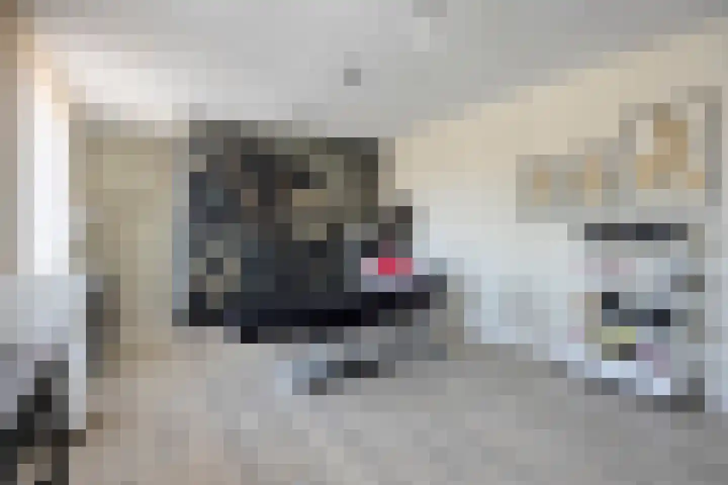 Zeelsterstraat 107 Eindhoven thumbnail 35