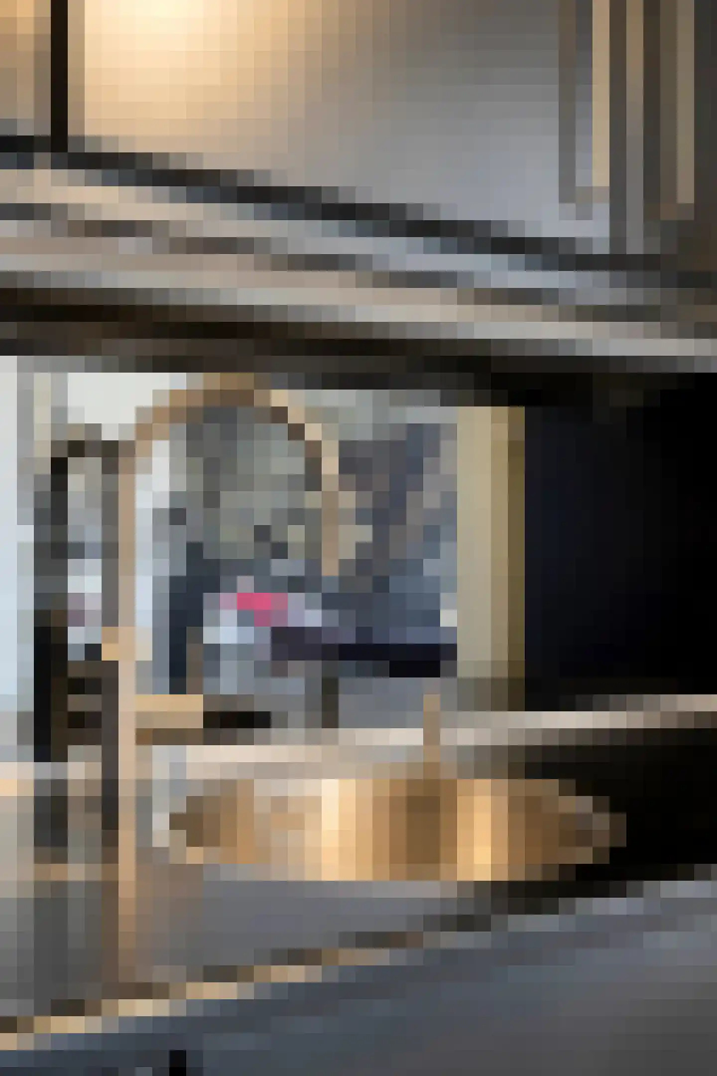 Zeelsterstraat 107 Eindhoven thumbnail 35