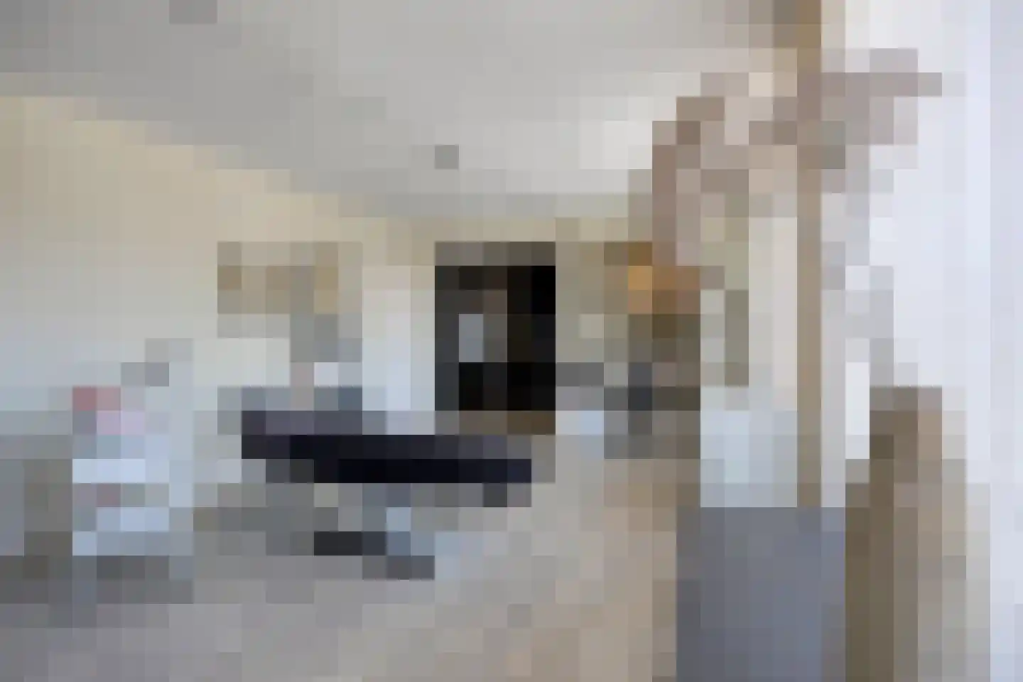 Zeelsterstraat 107 Eindhoven thumbnail 38