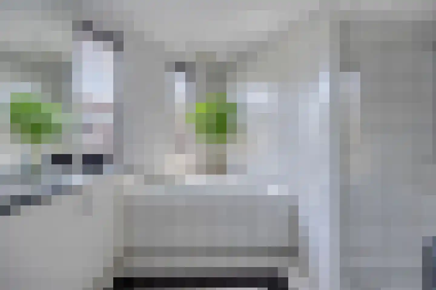 Zeelsterstraat 107 Eindhoven thumbnail 39
