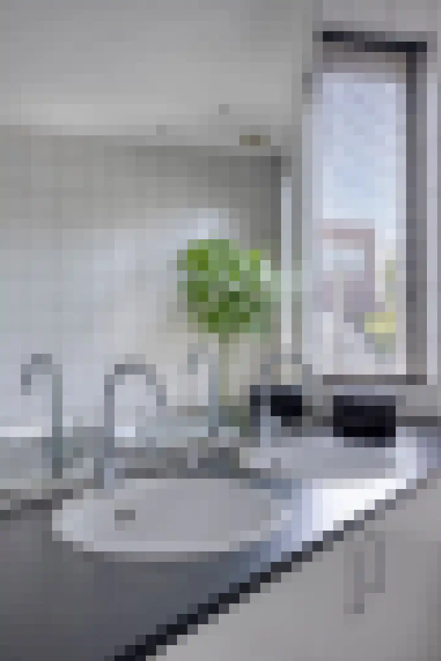 Zeelsterstraat 107 Eindhoven thumbnail 40
