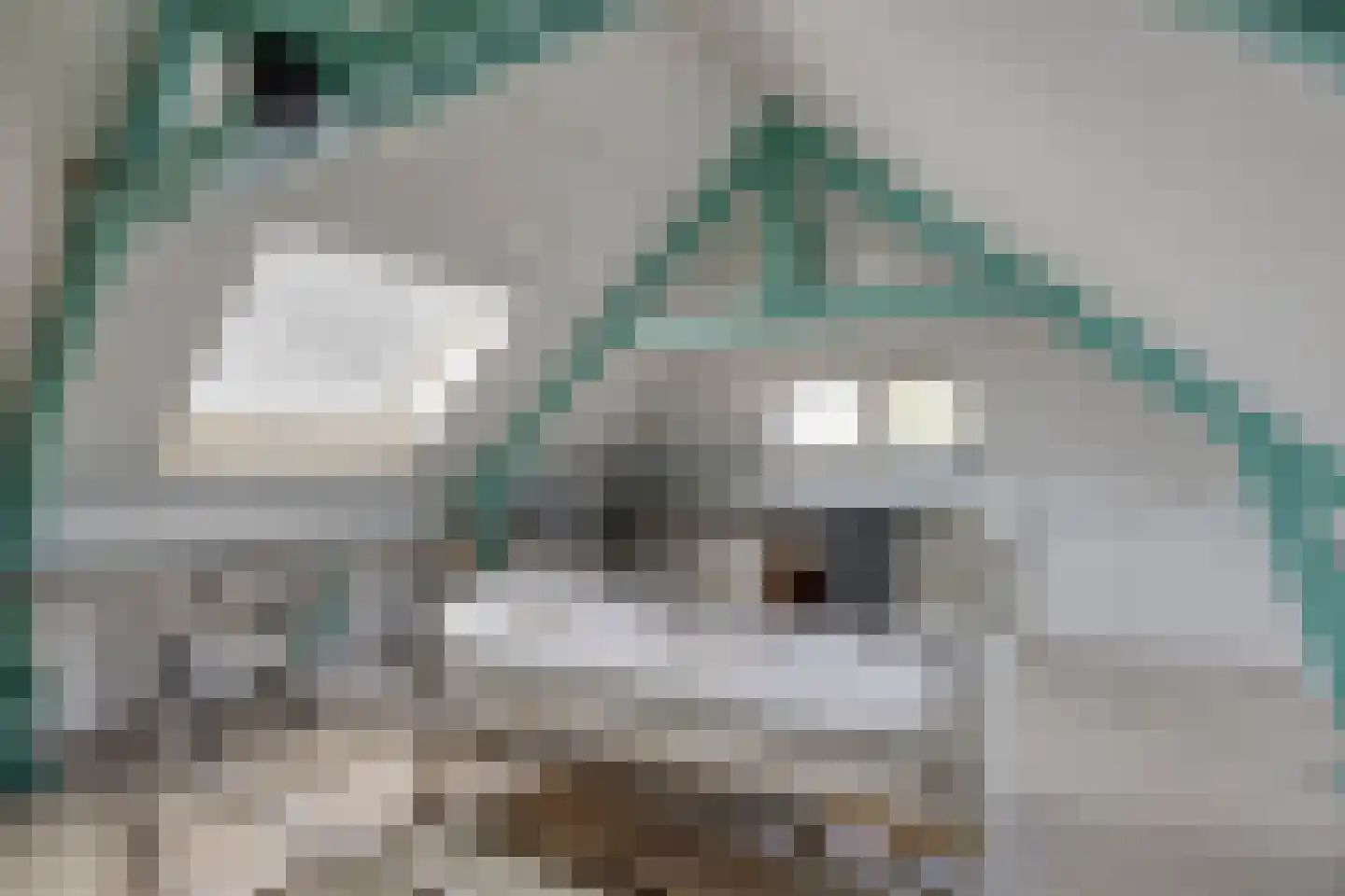 Zeelsterstraat 107 Eindhoven thumbnail 45