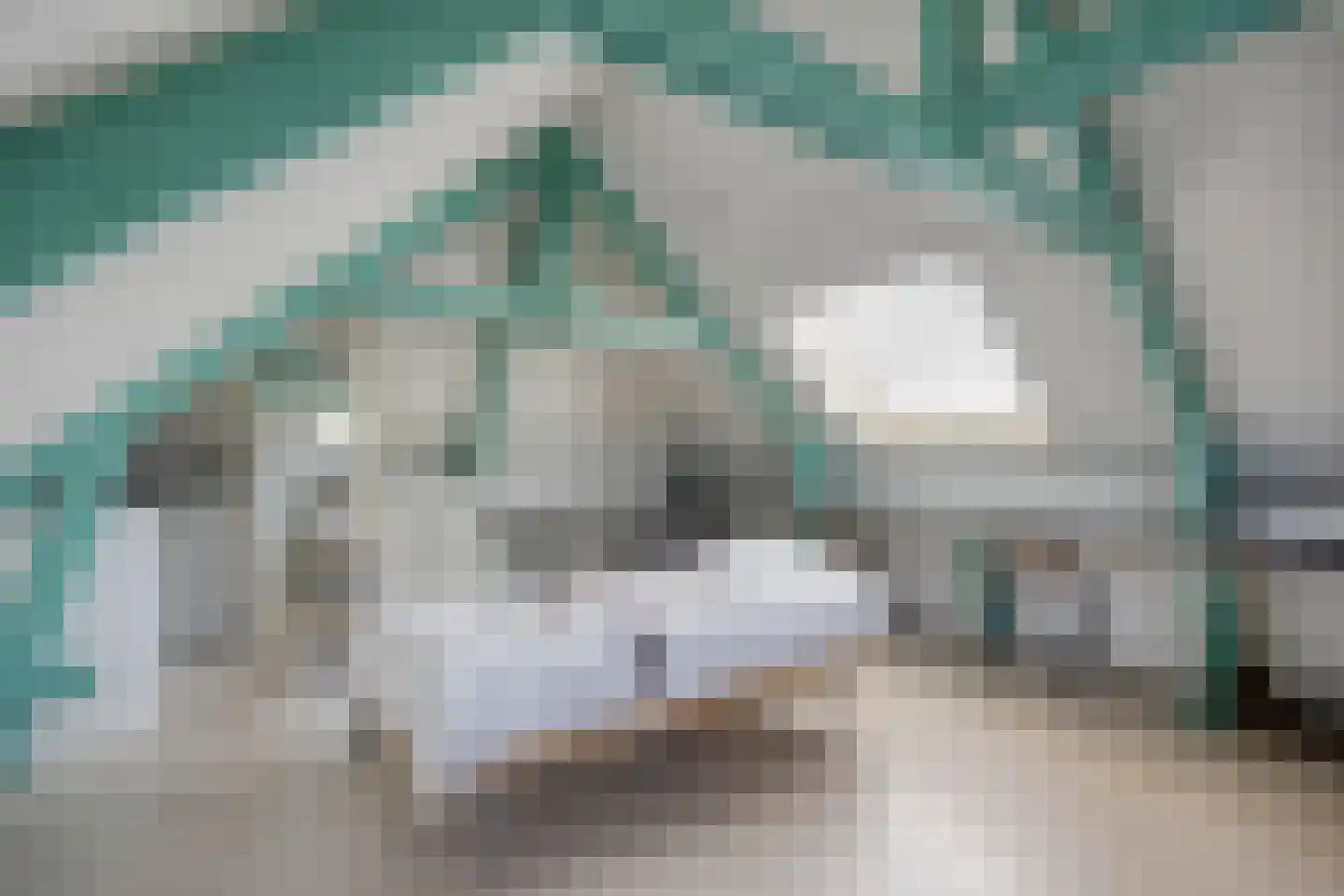 Zeelsterstraat 107 Eindhoven thumbnail 46