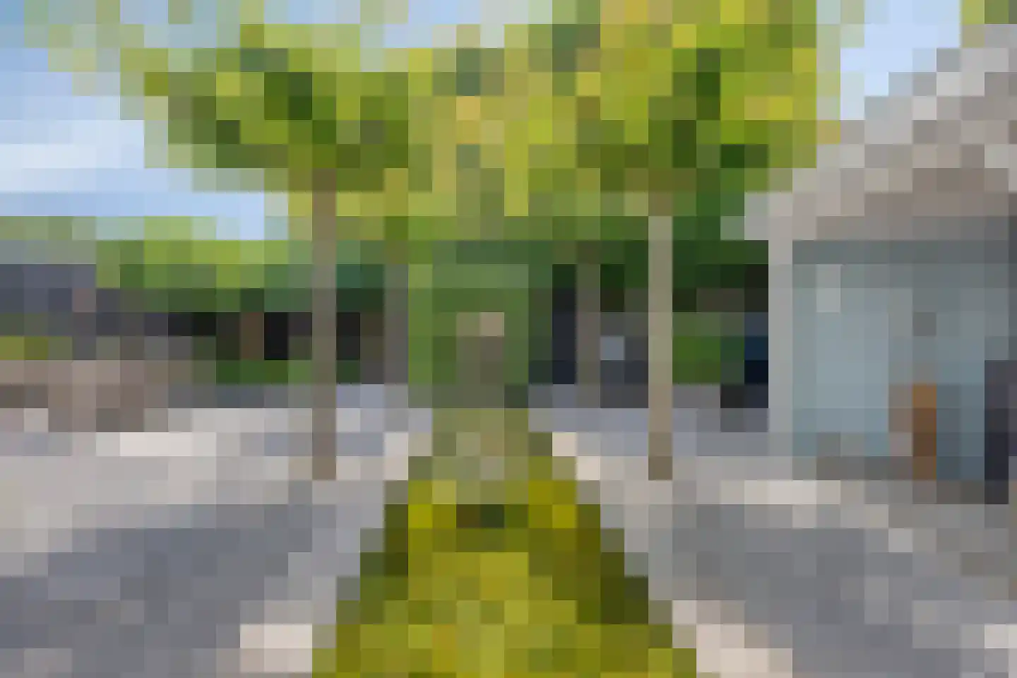 Zeelsterstraat 107 Eindhoven thumbnail 48