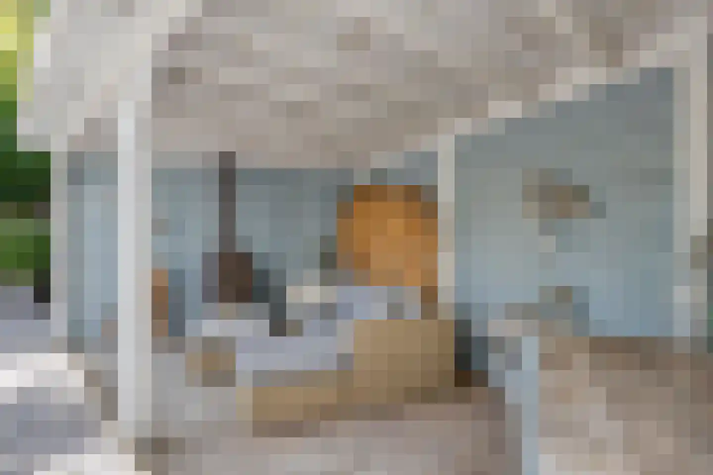 Zeelsterstraat 107 Eindhoven thumbnail 49