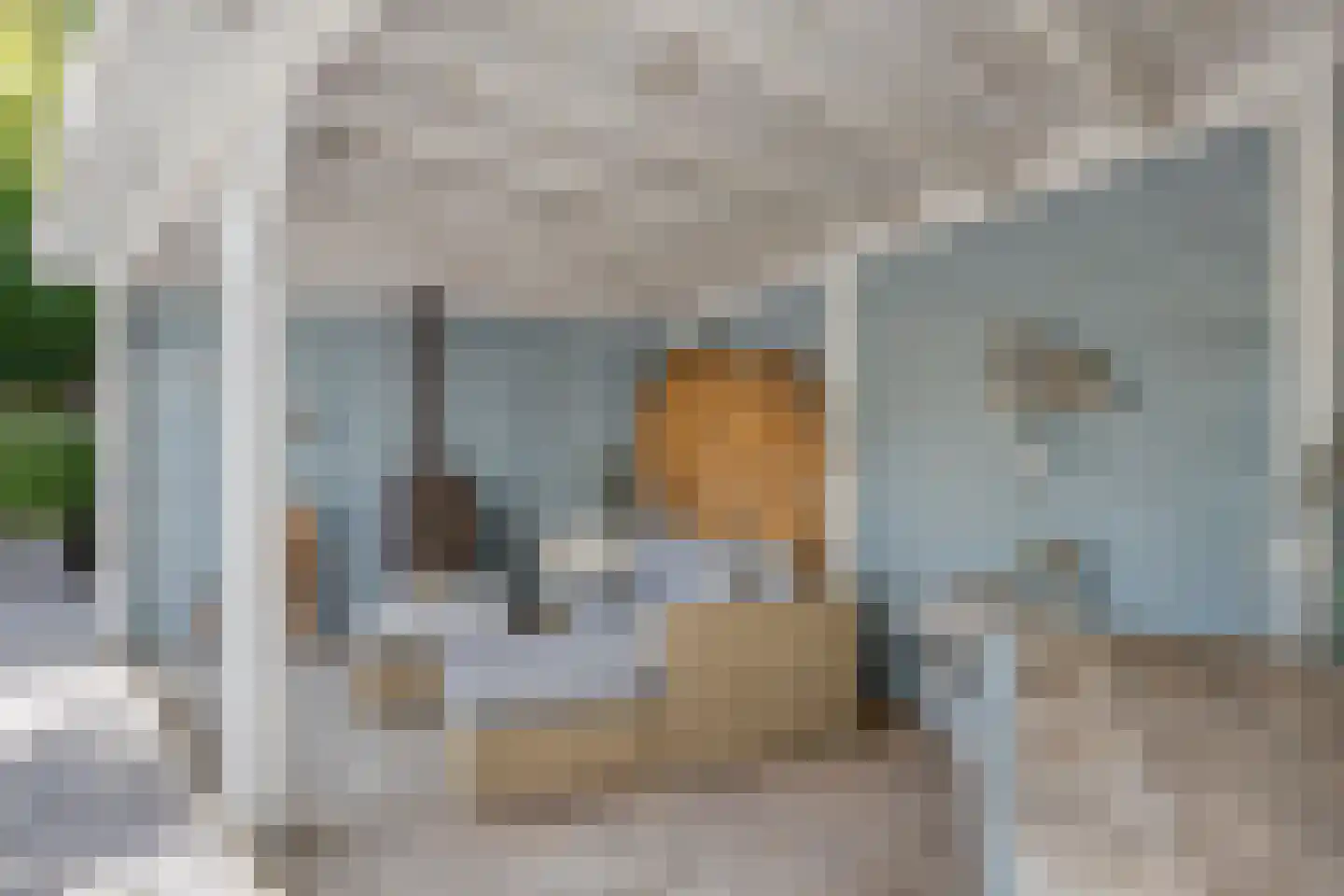 Zeelsterstraat 107 Eindhoven thumbnail 49