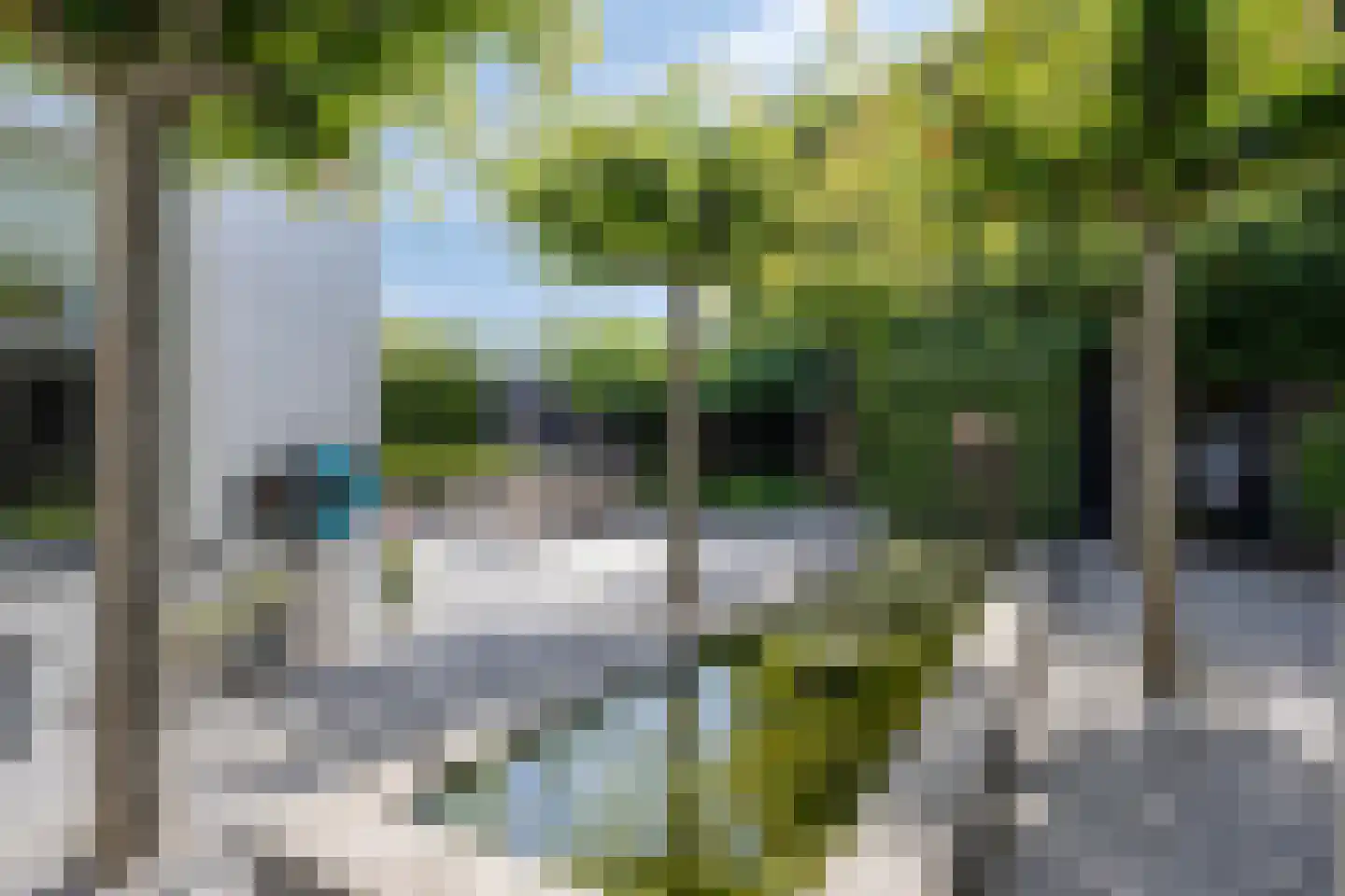 Zeelsterstraat 107 Eindhoven thumbnail 50