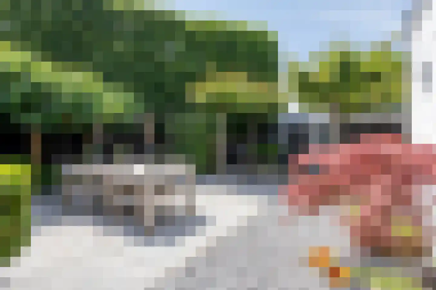 Zeelsterstraat 107 Eindhoven thumbnail 55