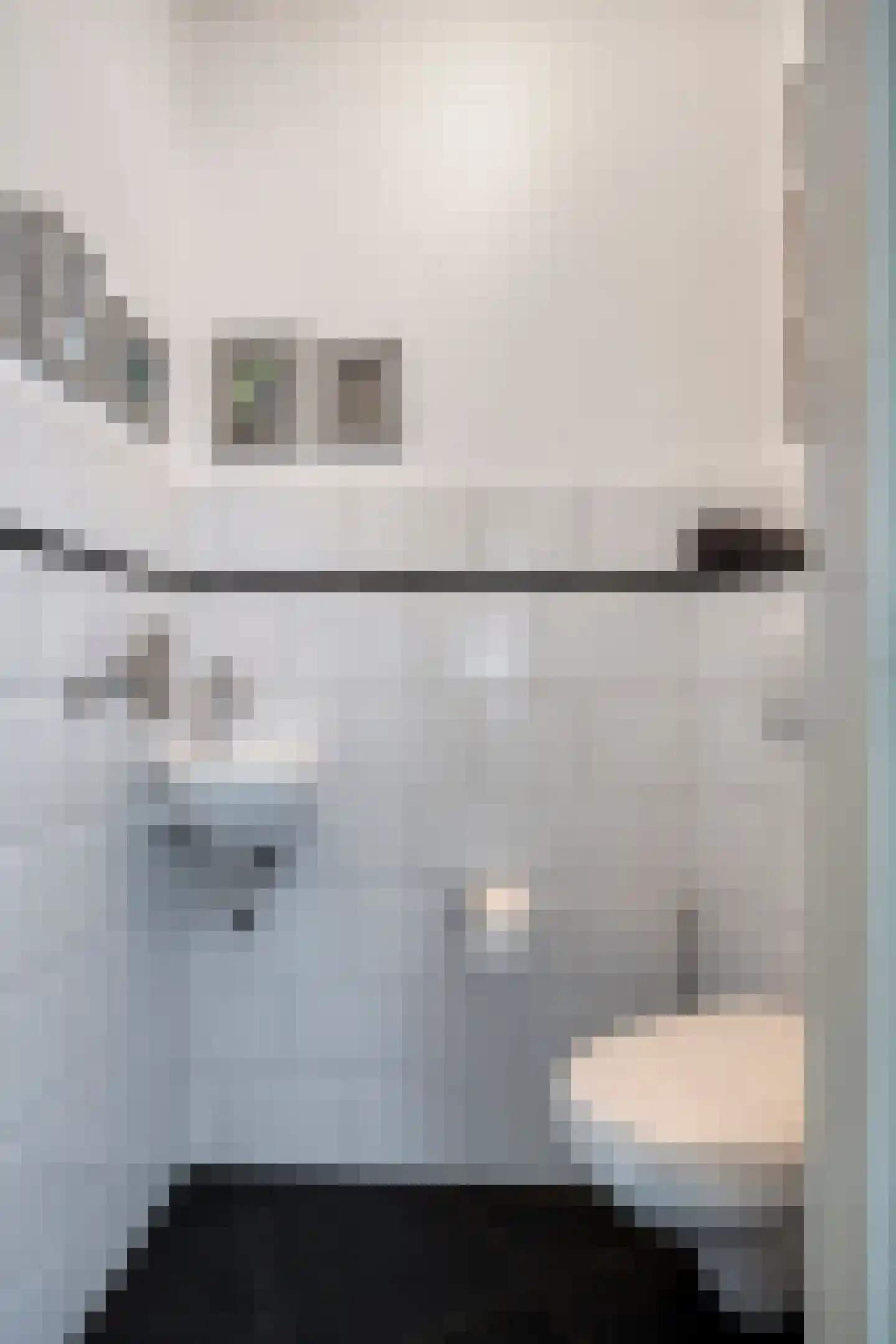 Zeelsterstraat 107 Eindhoven thumbnail 8