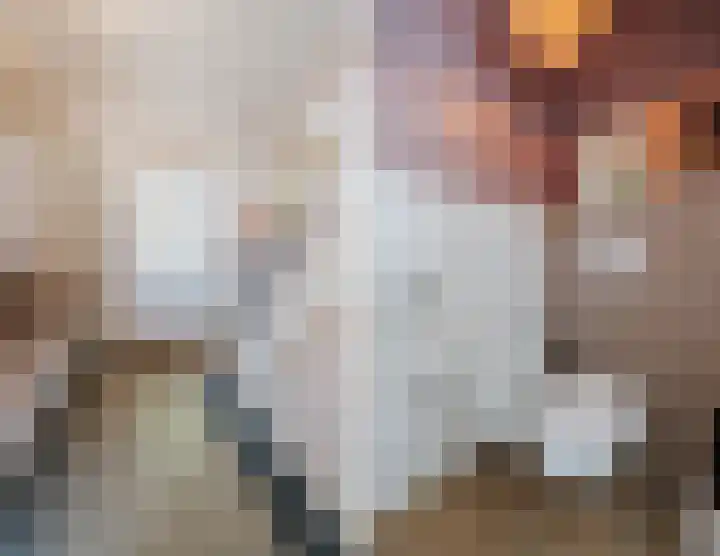 Zeelsterstraat 157 Eindhoven thumbnail 22